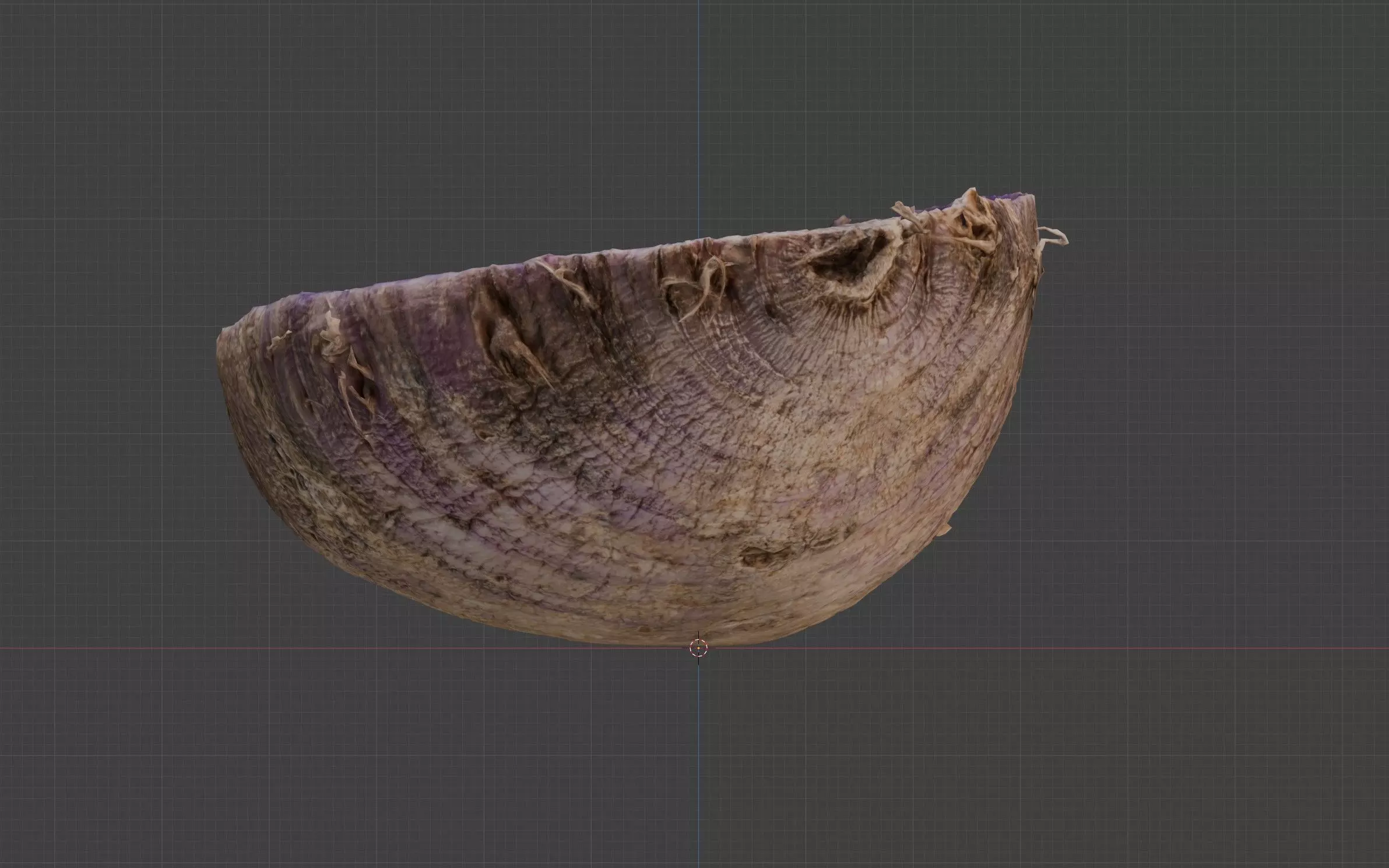 radish cut 3D model