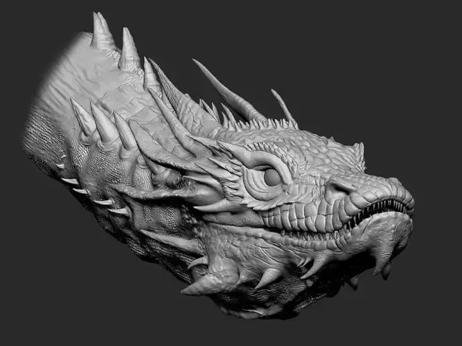 Dragon head