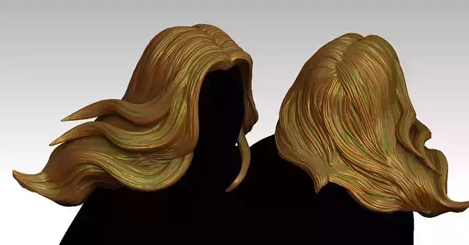 3D Hairstyles for girl V53 3D print model