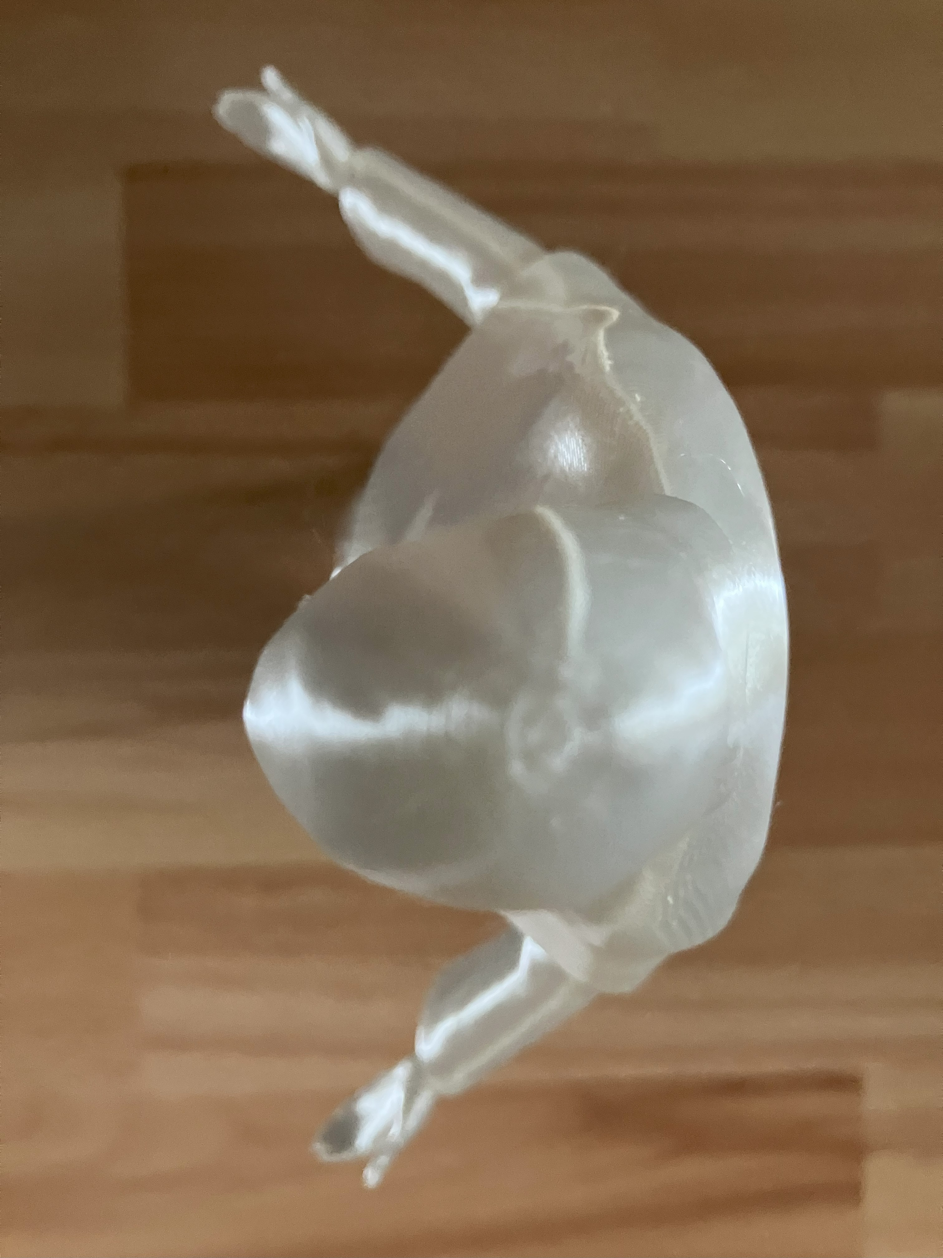 Melitele Hag Statue - High Res 3D Print ready Free 3D print model_14