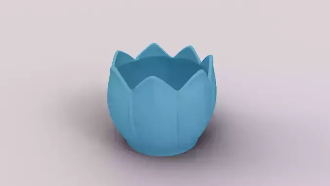 Decorative Lily Succulent Pot