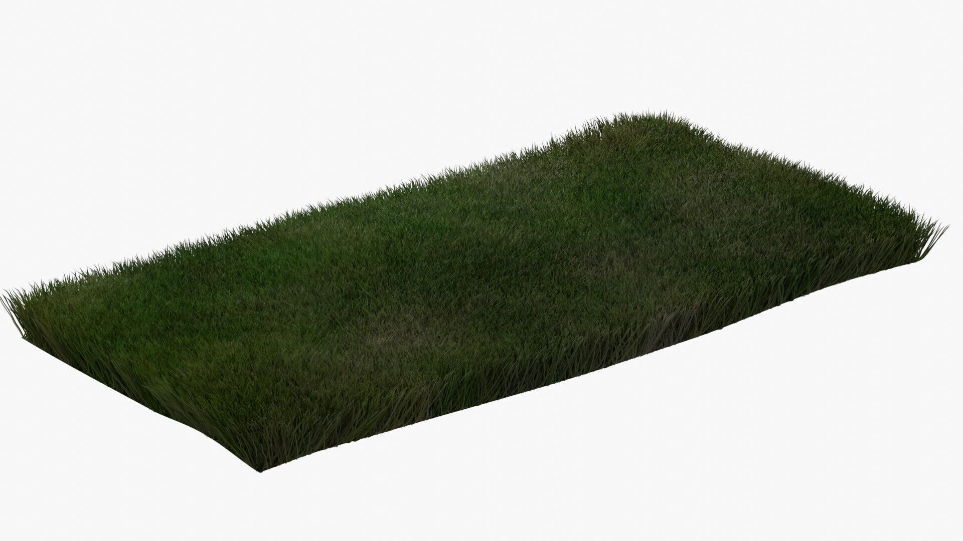 Warm Season Grass Free low-poly 3D model_3