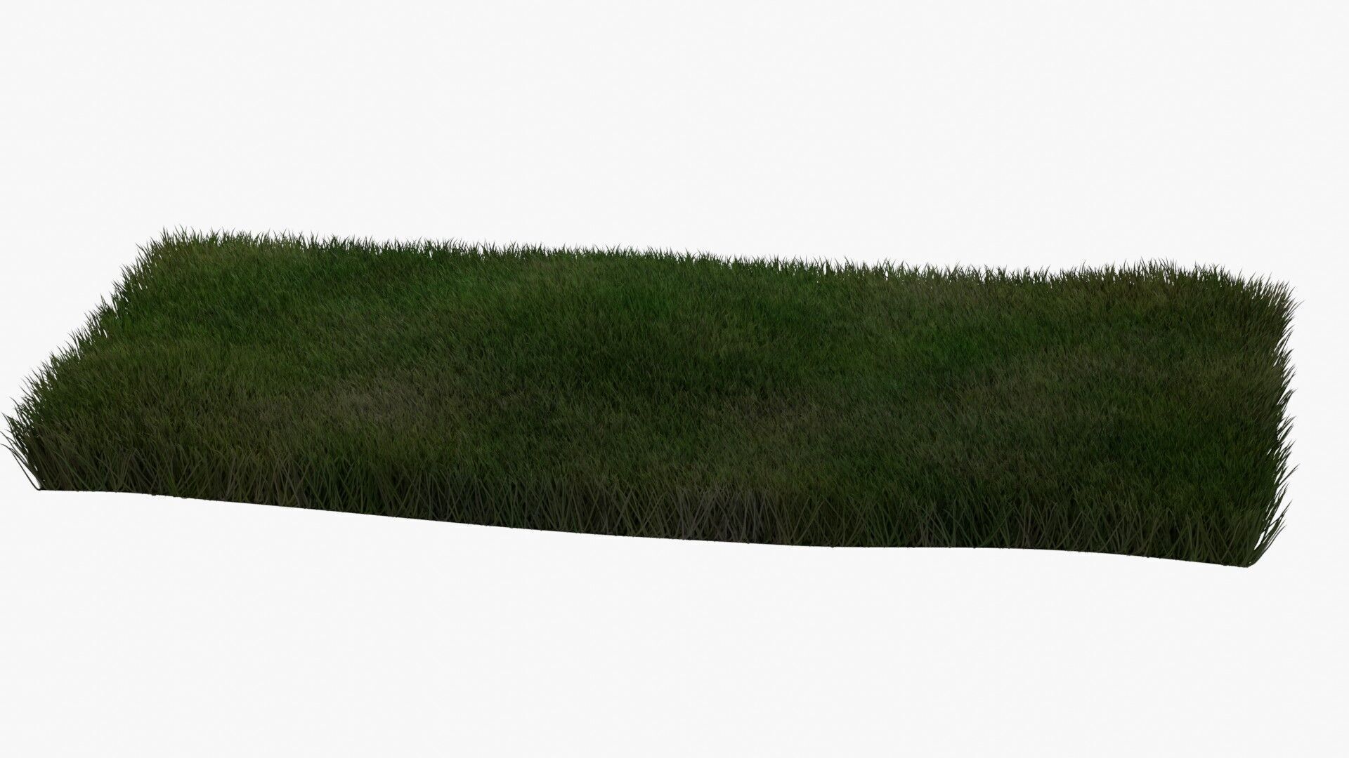 Warm Season Grass Free low-poly 3D model_4