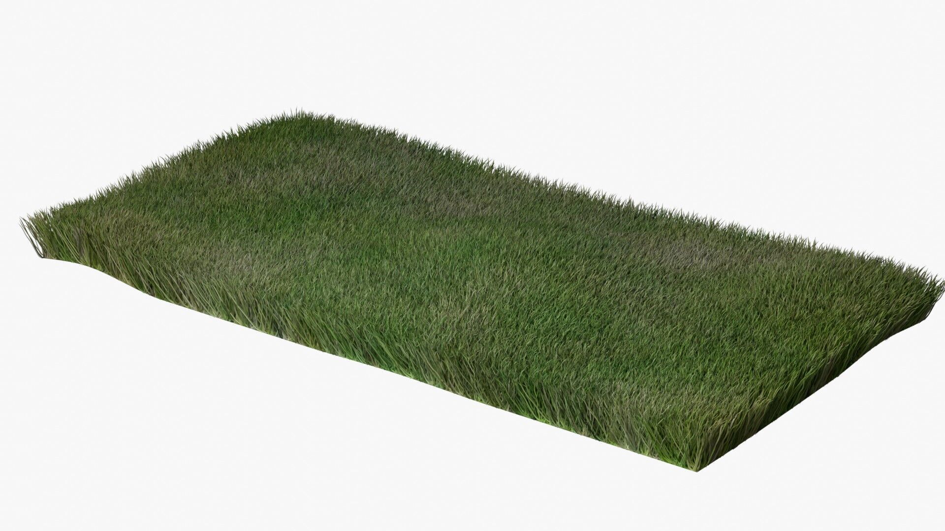Warm Season Grass Free low-poly 3D model_2