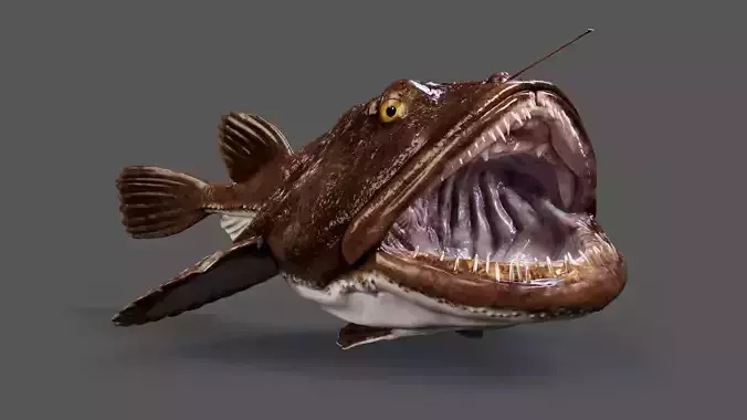 European angler Animated 3D model
