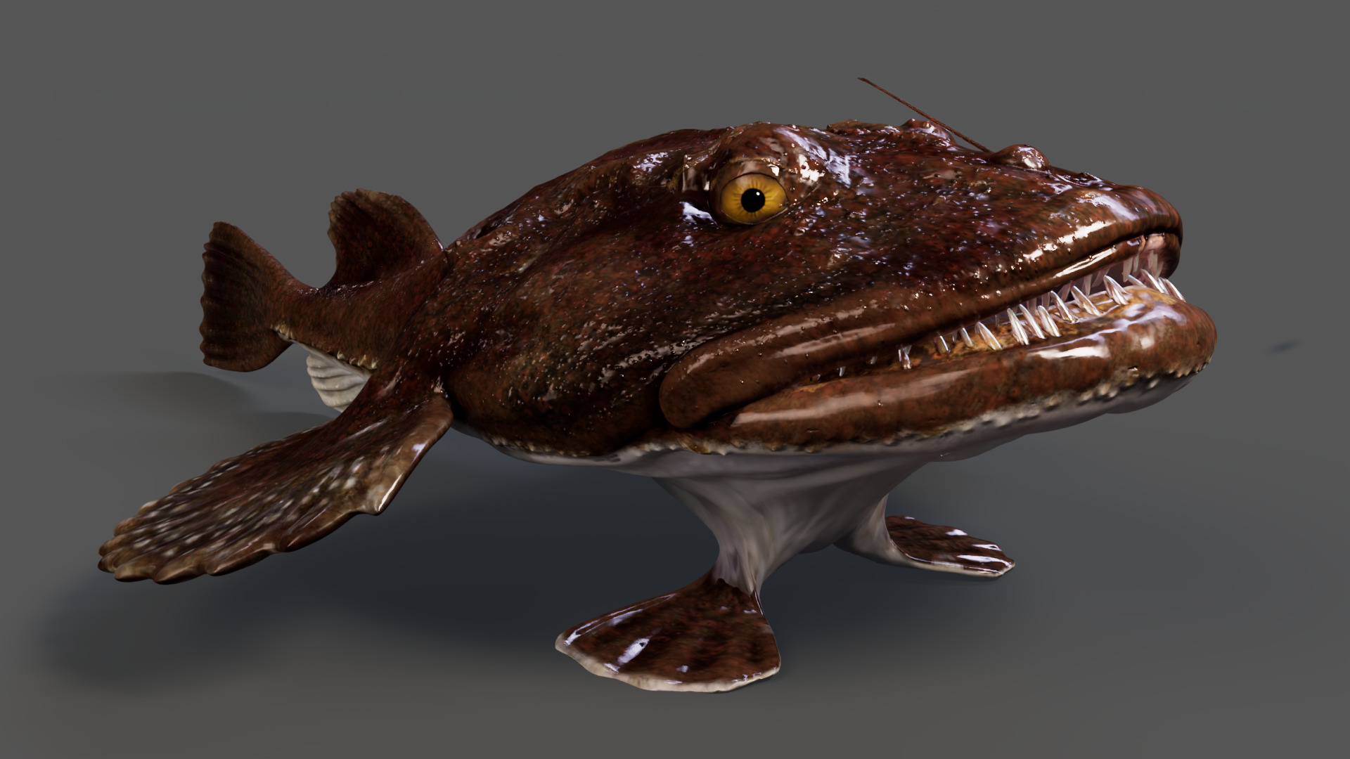 European angler Animated 3D model_8
