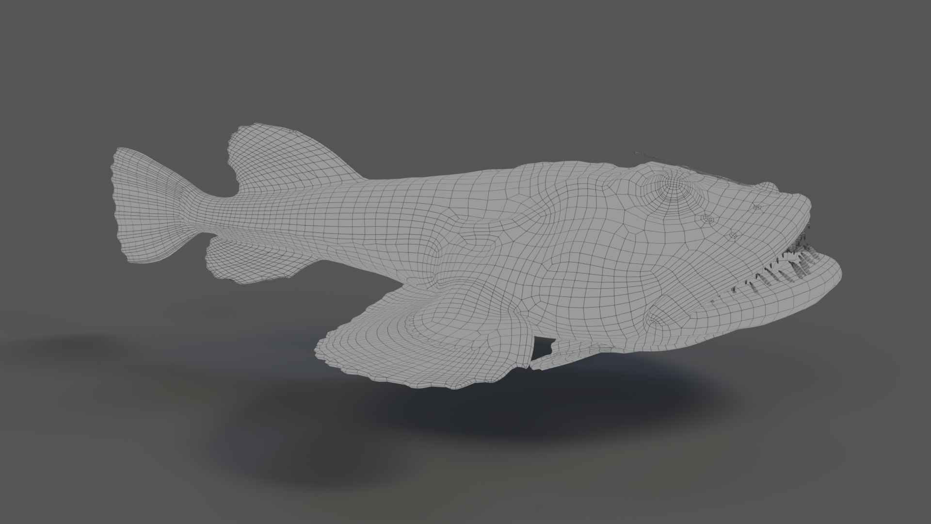 European angler Animated 3D model_12