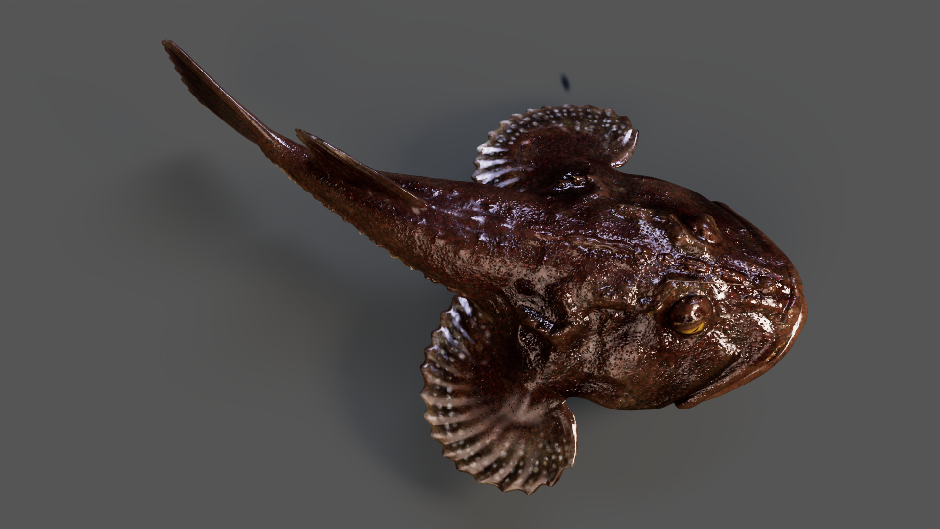 European angler Animated 3D model_5