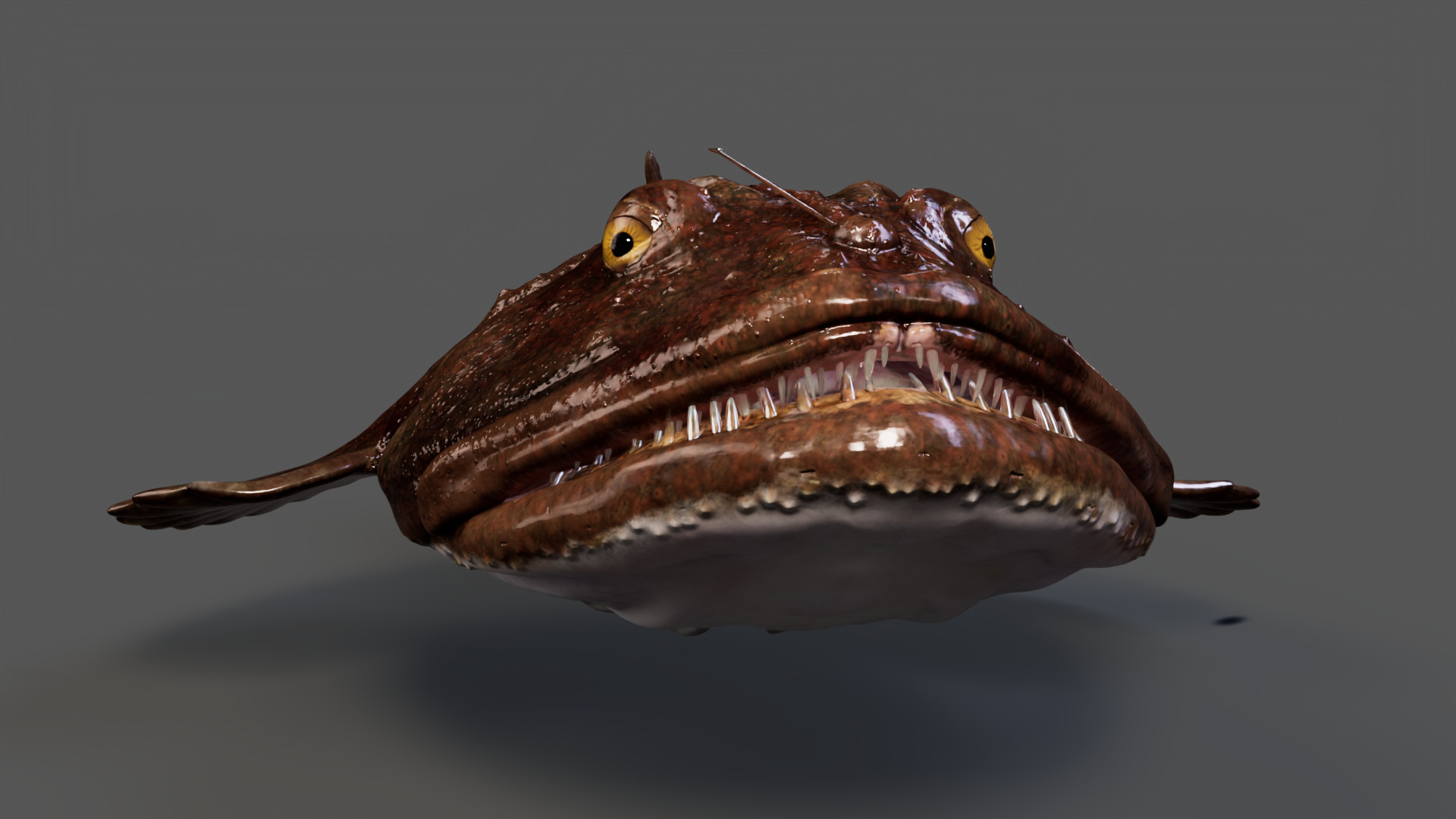 European angler Animated 3D model_6