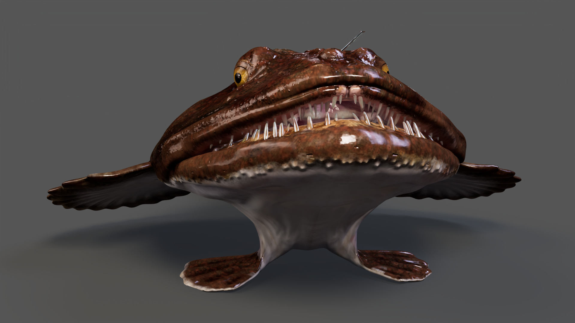 European angler Animated 3D model_10