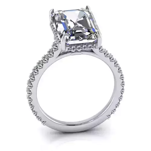 1 stone emerald cut engagment ring