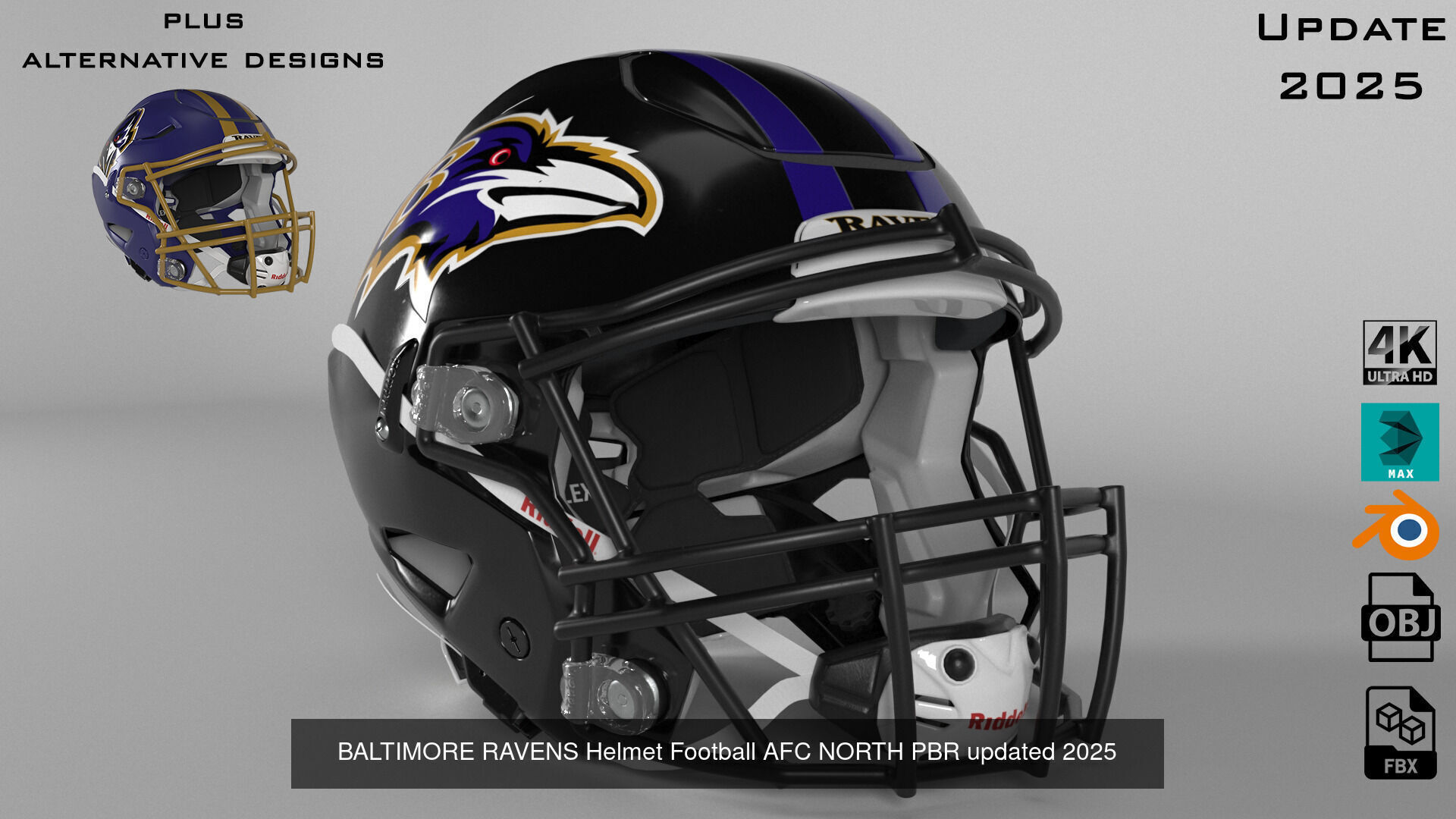 Helmet Football NFL AFC North Collection PBR _5