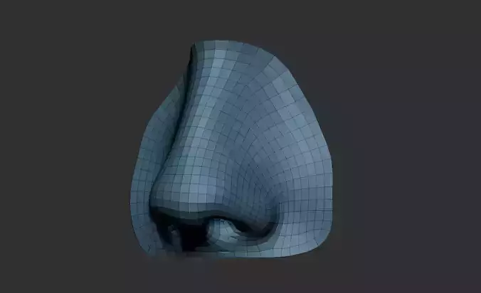 nose base mesh