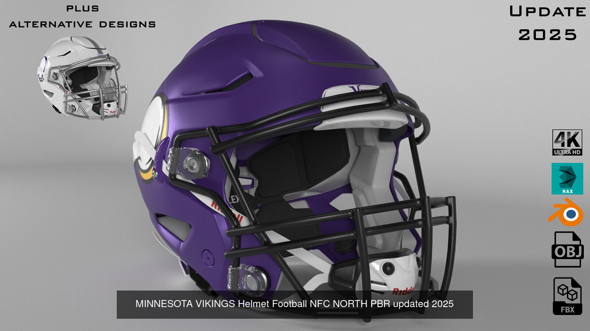 Helmet Football NFL NFC North Collection PBR _5