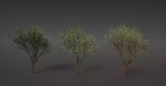 UE5 Realistic Tree Colored Leaves