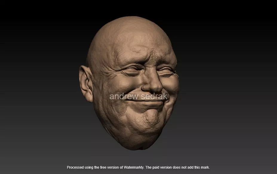 donald trump 3D print model_4