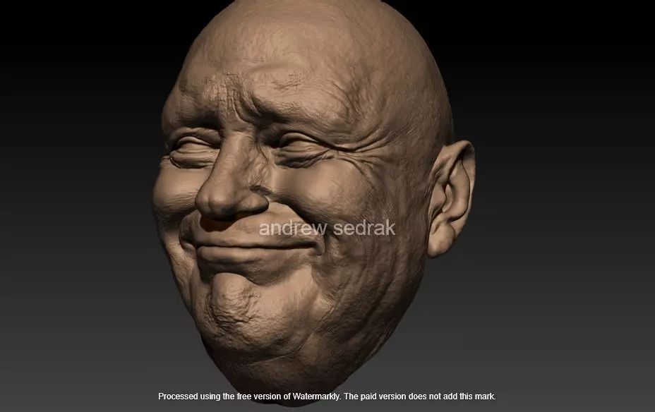 donald trump 3D print model_0