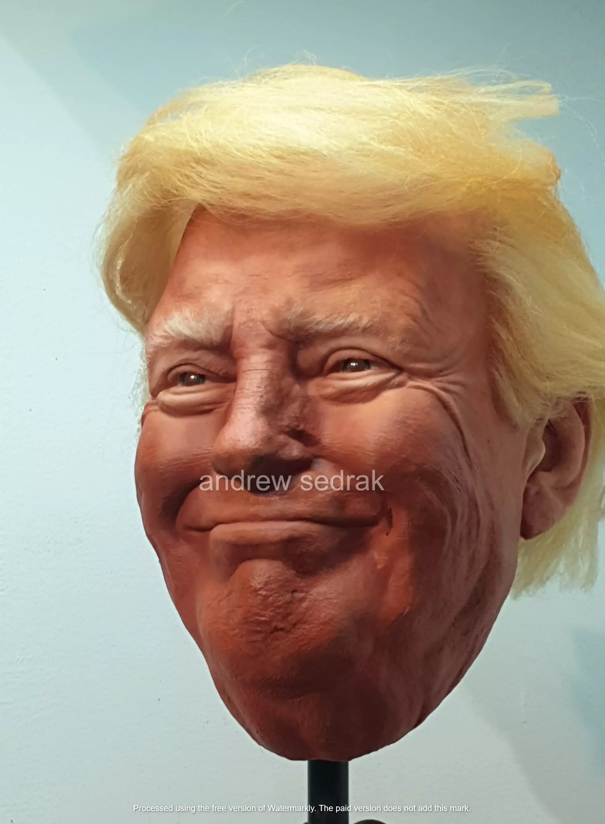 donald trump 3D print model_1