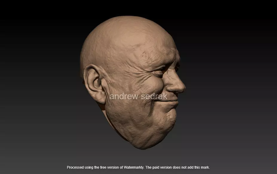 donald trump 3D print model_5