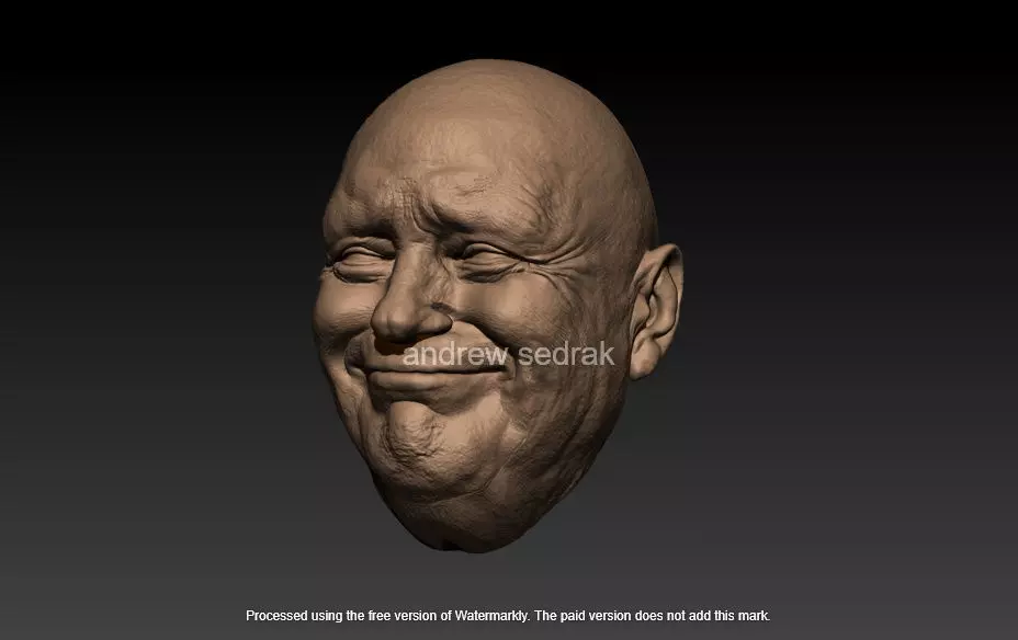 donald trump 3D print model_2