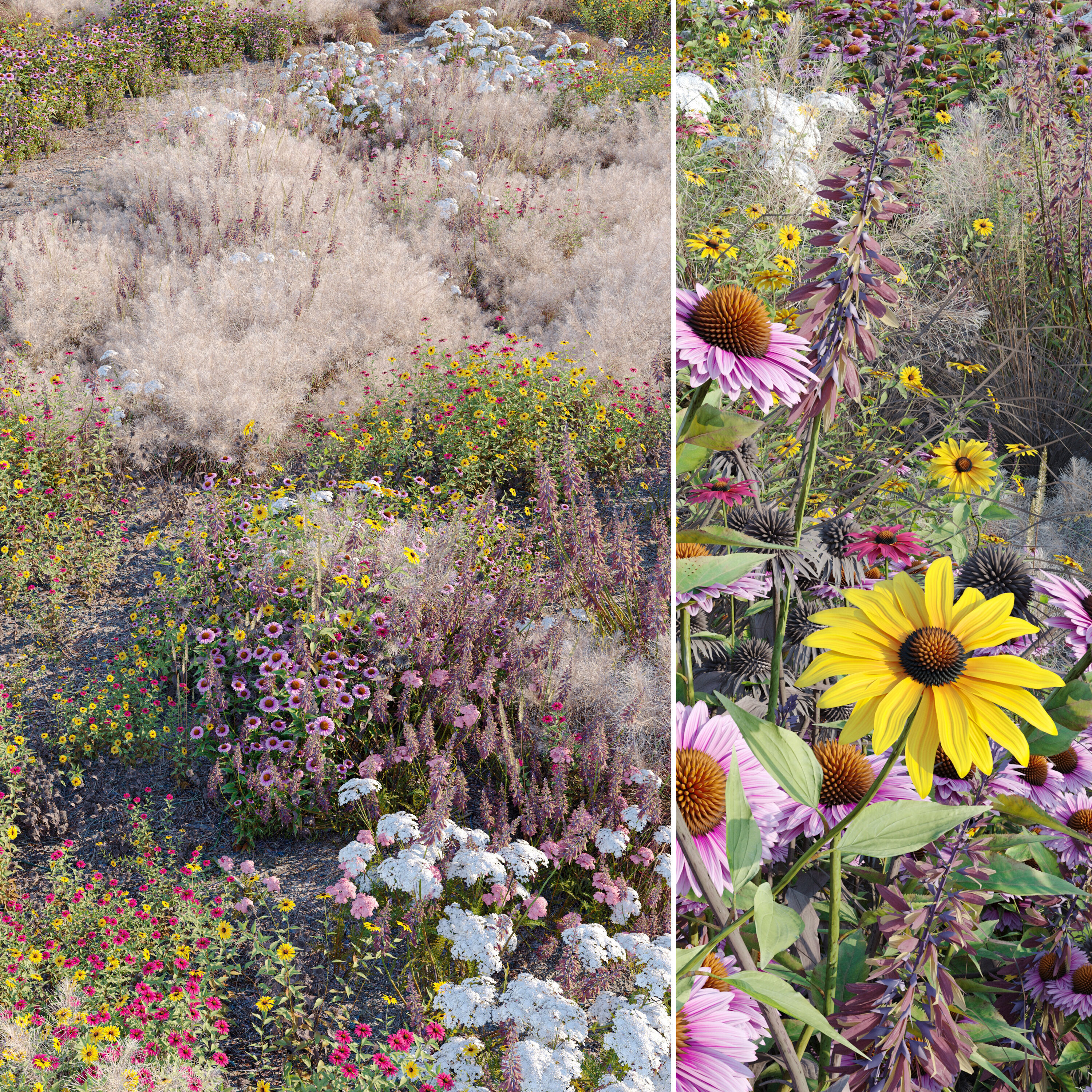 Meadow 25 3D model_2