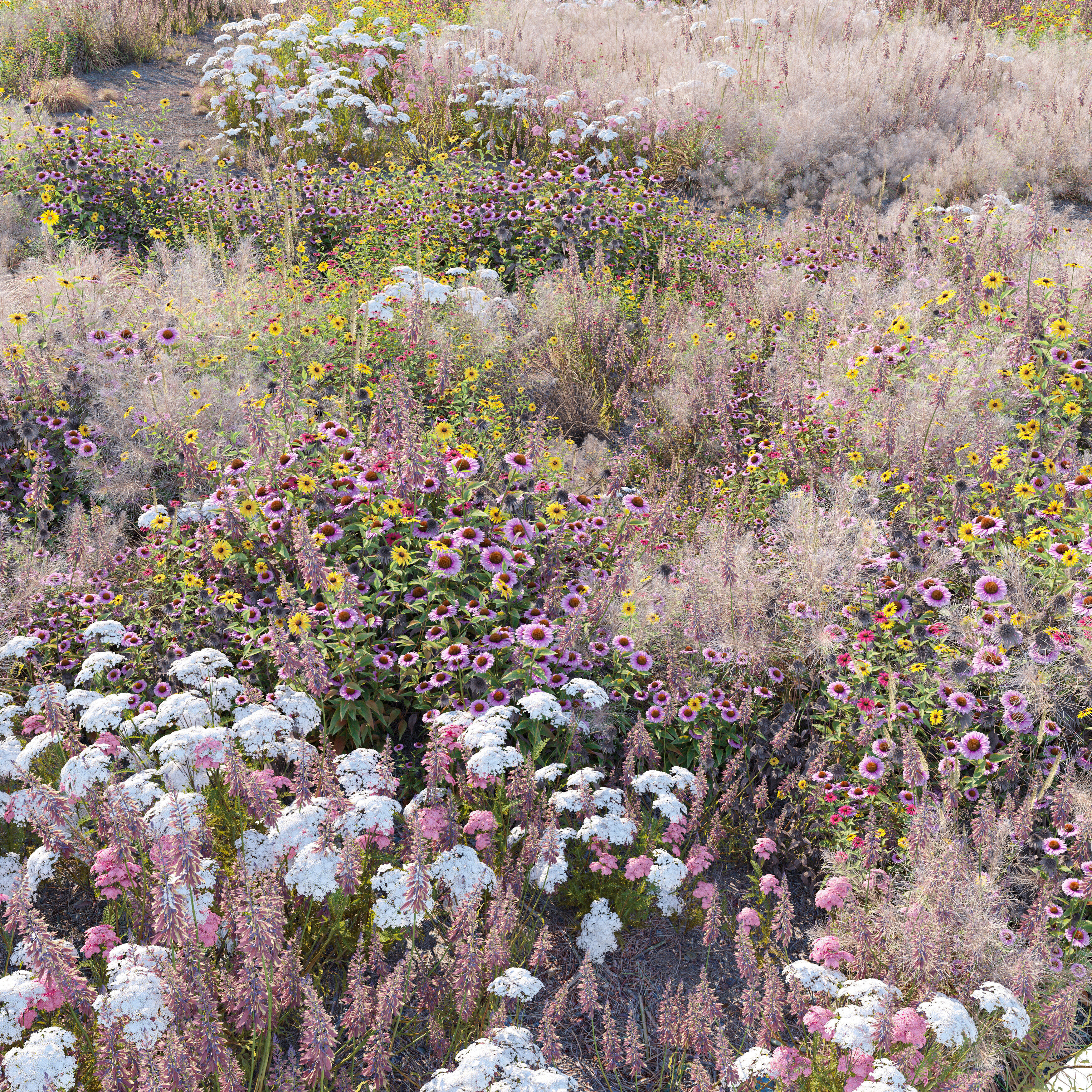 Meadow 25 3D model_1