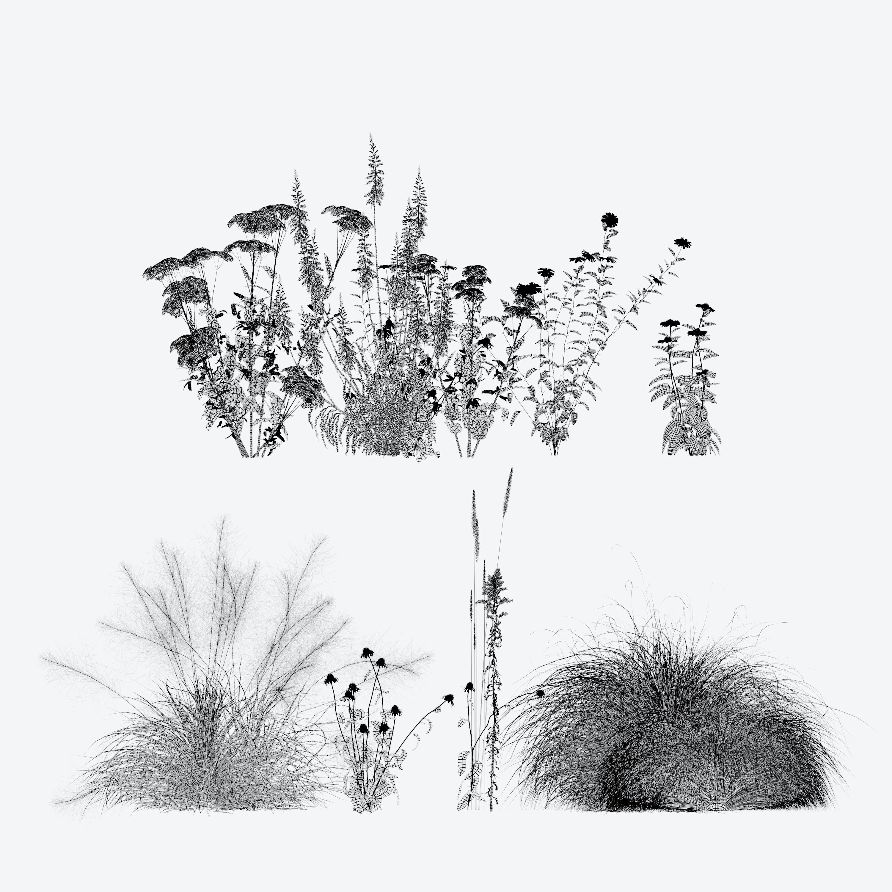 Meadow 25 3D model_5