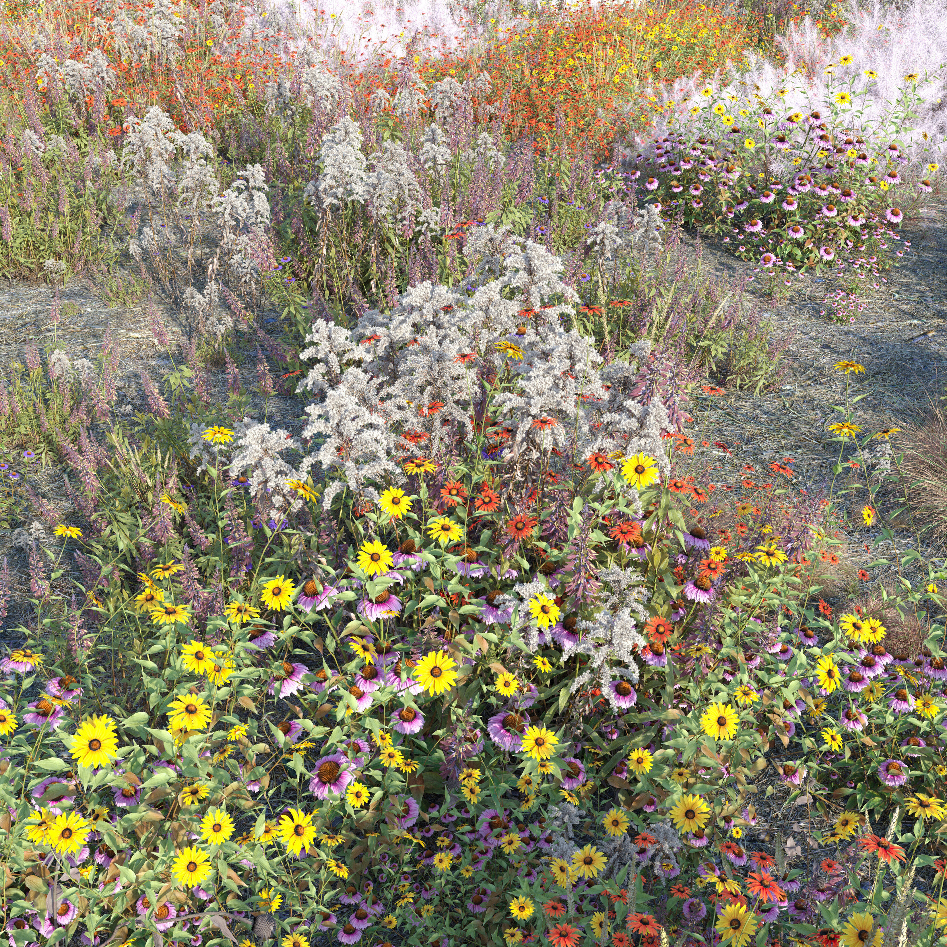 Meadow 26 3D model_2