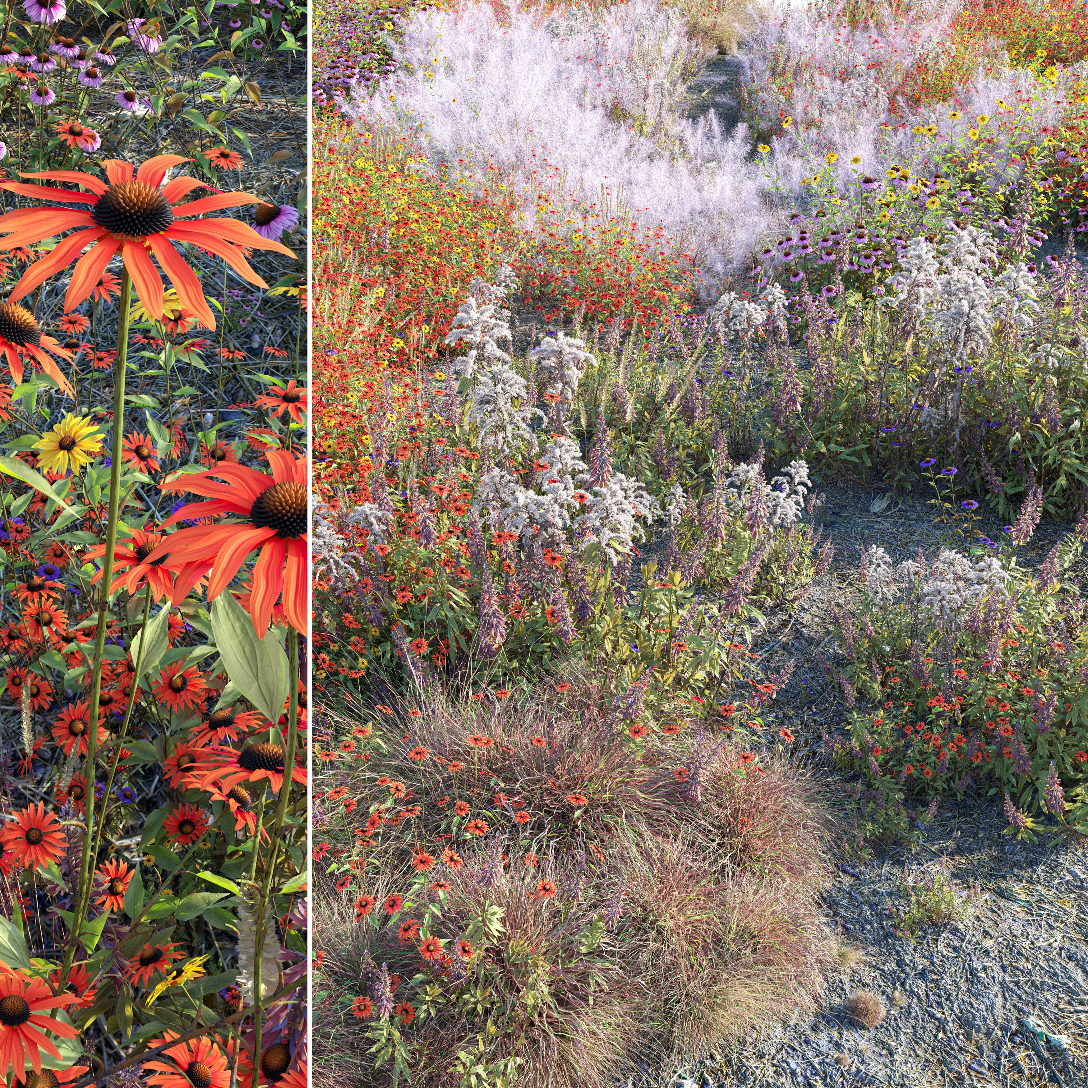 Meadow 26 3D model_0