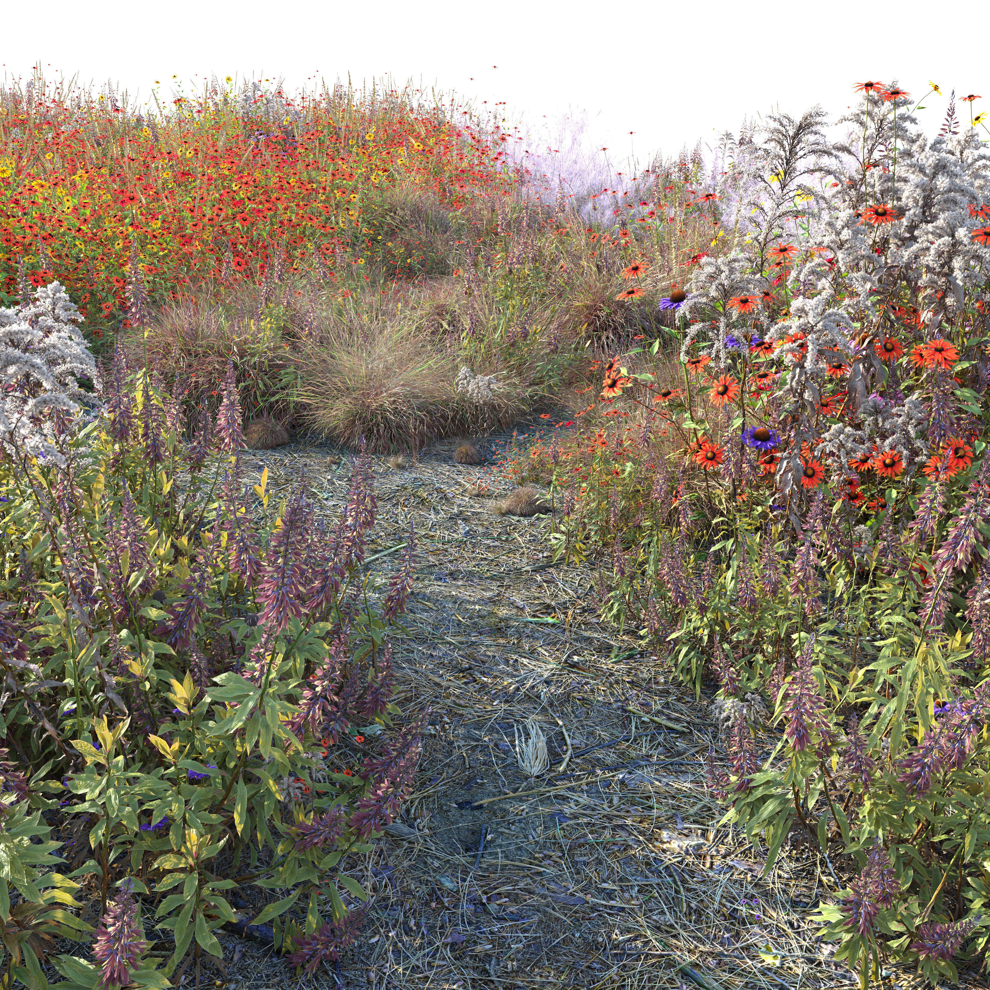 Meadow 26 3D model_3