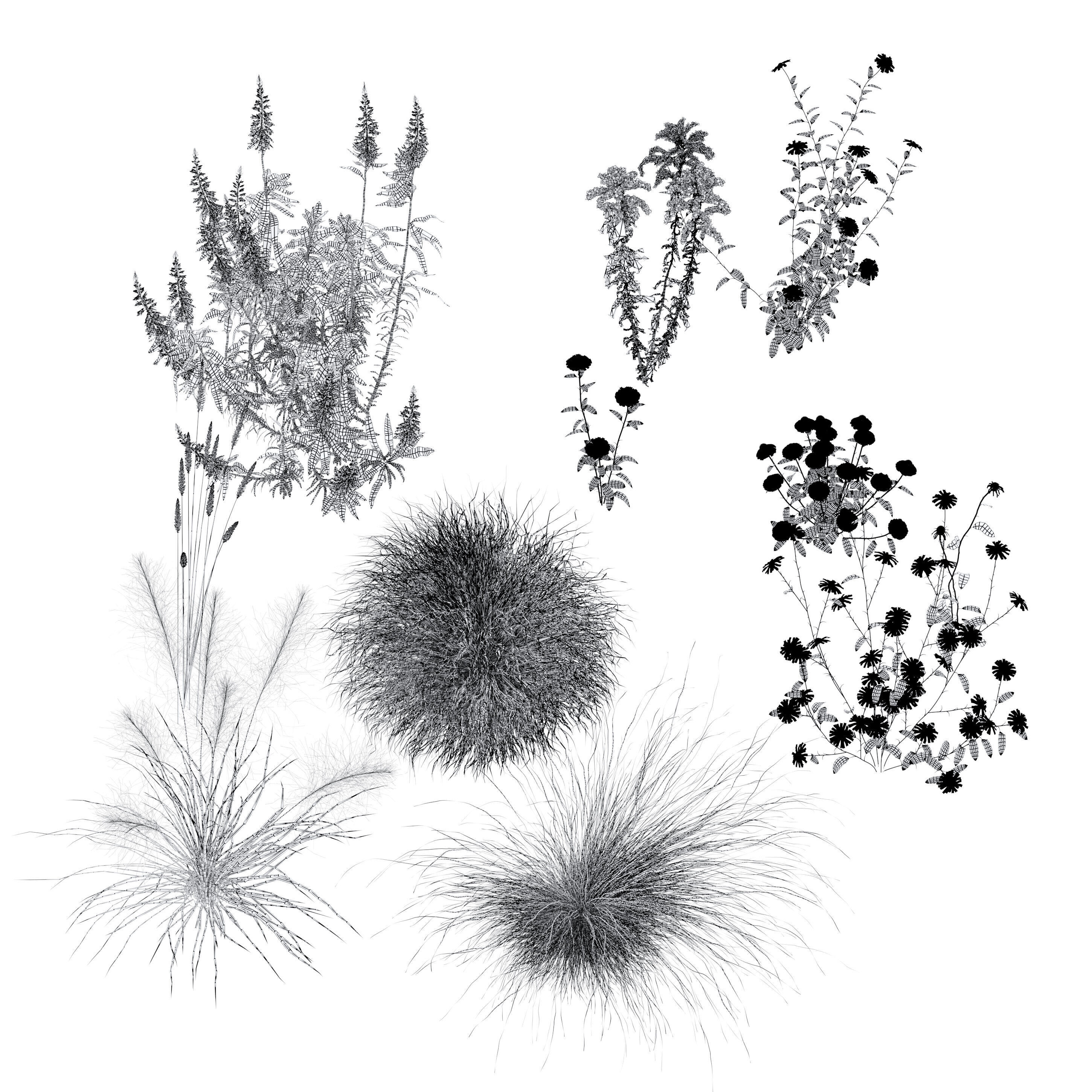 Meadow 26 3D model_4