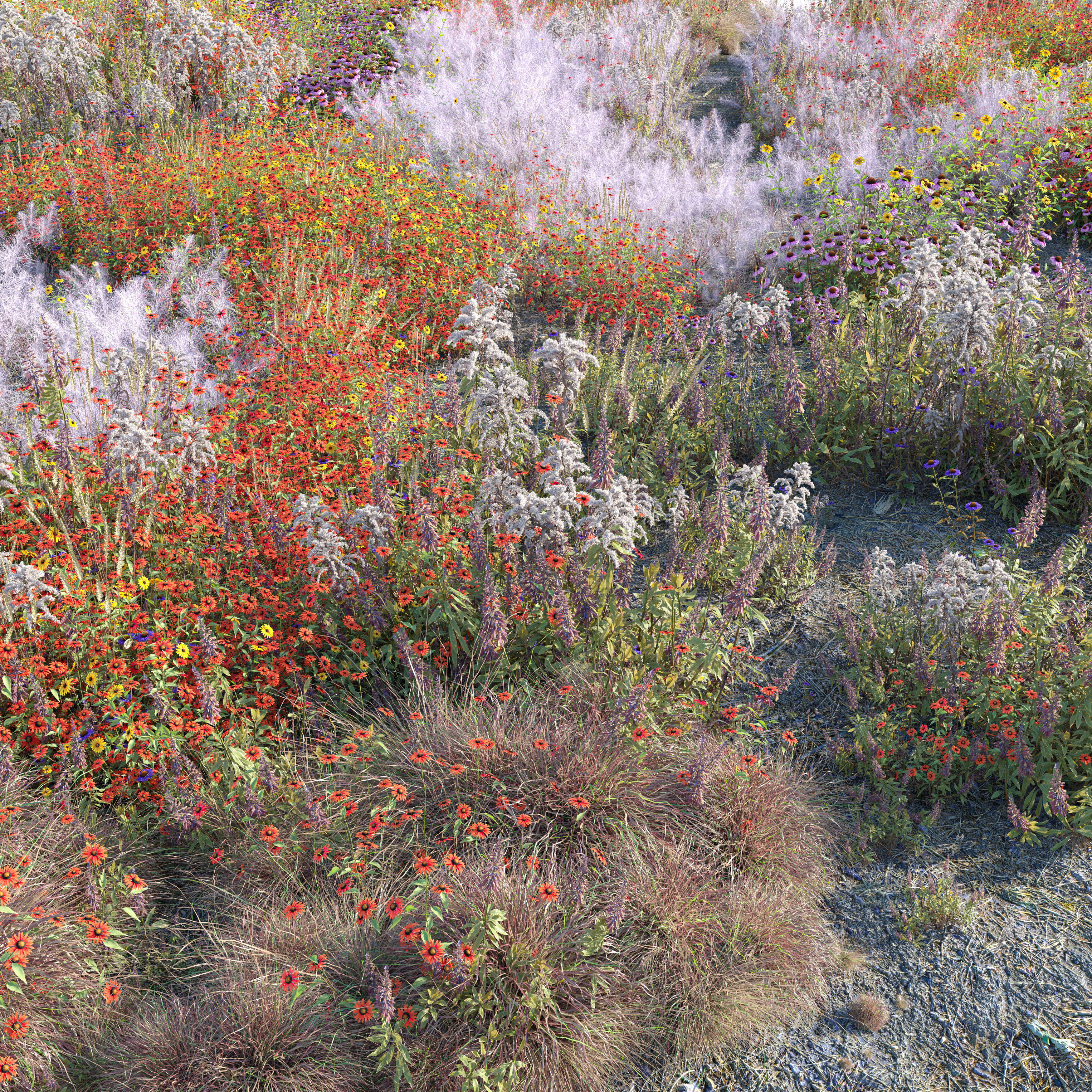 Meadow 26 3D model_1