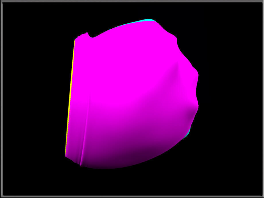 Bunny Tail 04 Low-poly 3D model_2