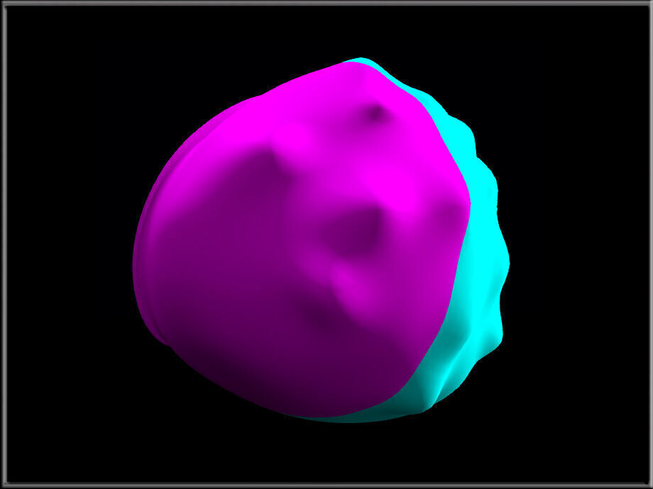 Bunny Tail 04 Low-poly 3D model_1