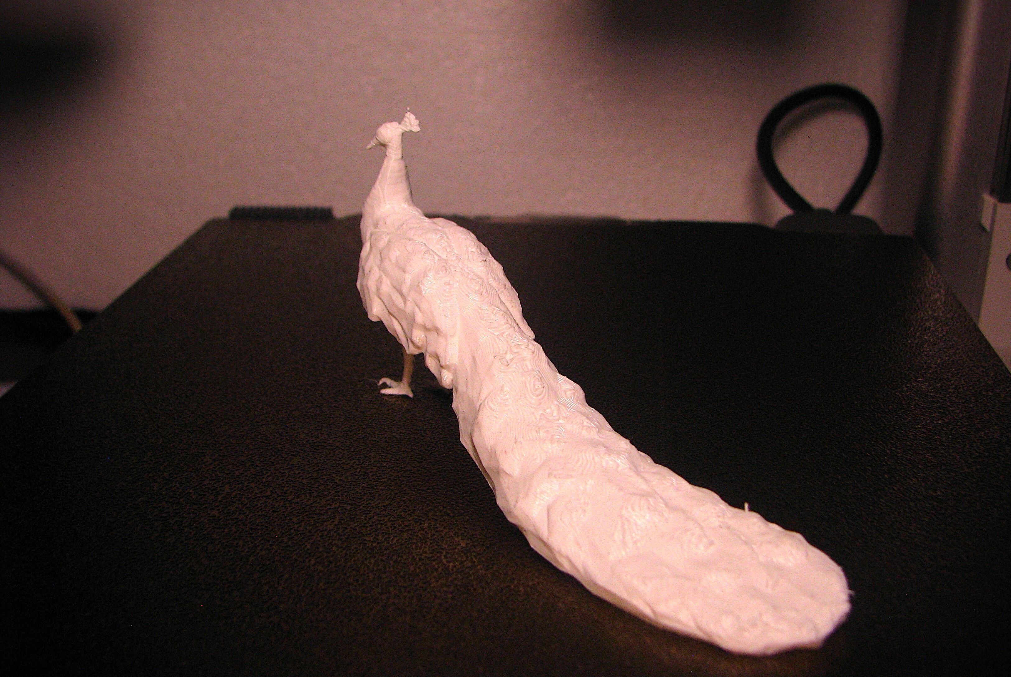 Peacock - low poly 3D print model_5