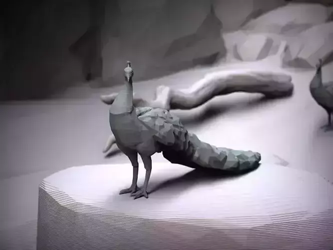 Peacock - low poly