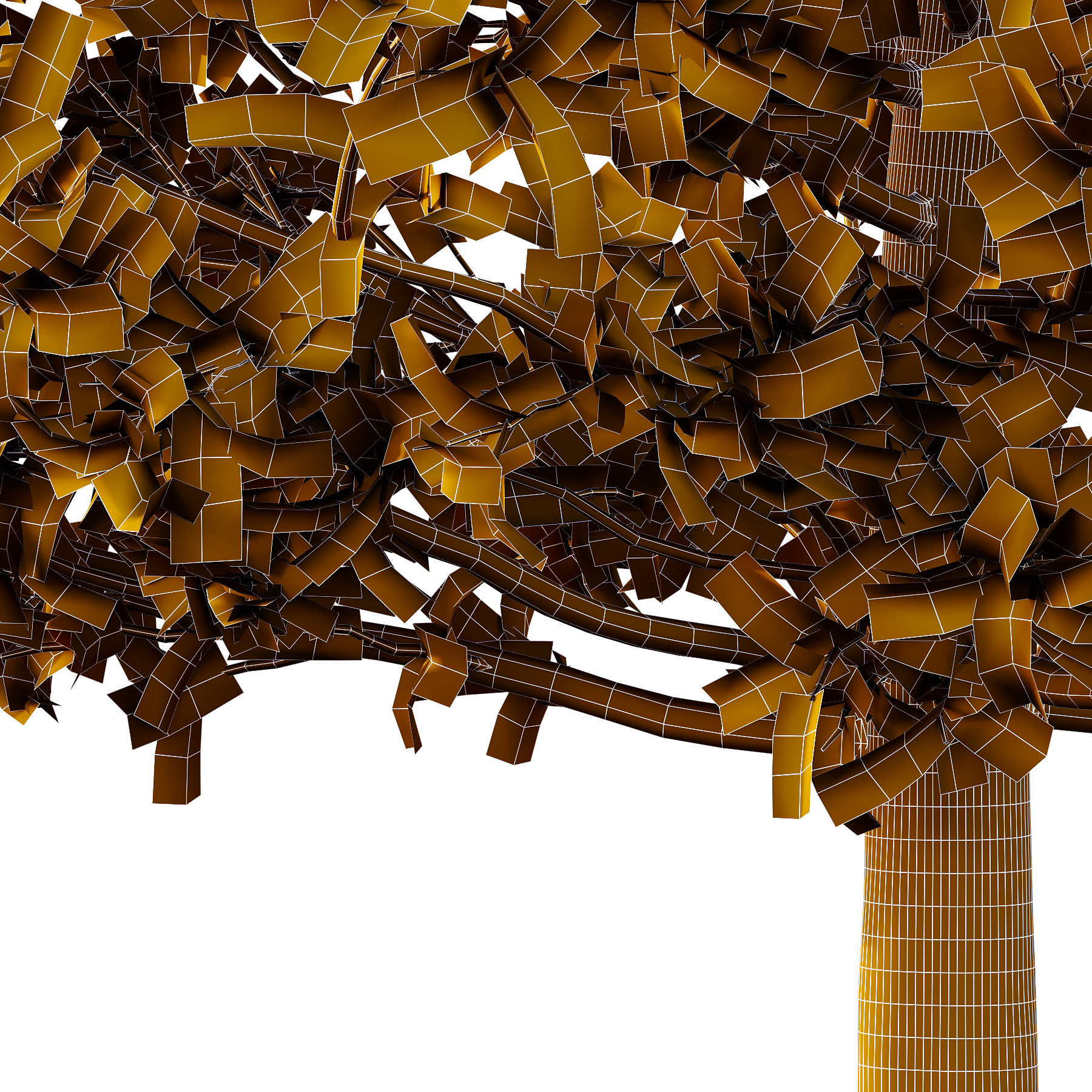 Carpinus Betulus Tree 01 3D model_5