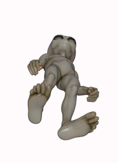 Gray Visitor from Zeta Reticuli 3D print model_15