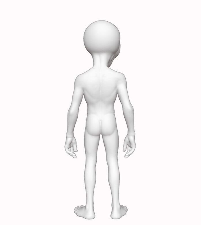 Gray Visitor from Zeta Reticuli 3D print model_8