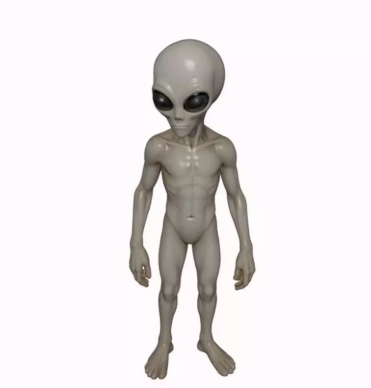 Gray Visitor from Zeta Reticuli 3D print model_0