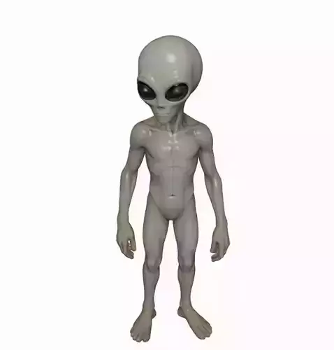 Gray Visitor from Zeta Reticuli 3D print model