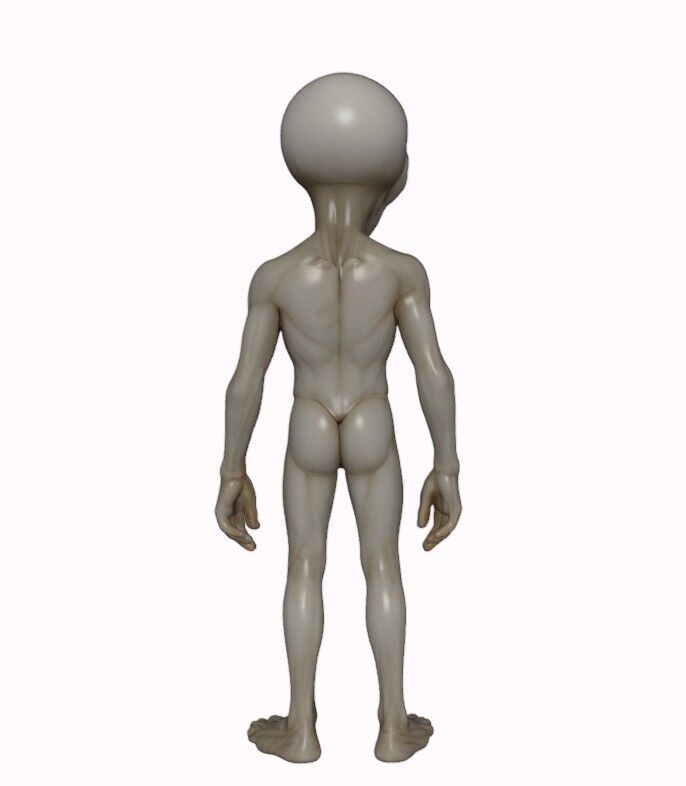 Gray Visitor from Zeta Reticuli 3D print model_7