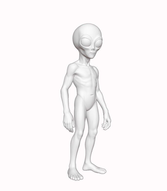 Gray Visitor from Zeta Reticuli 3D print model_4
