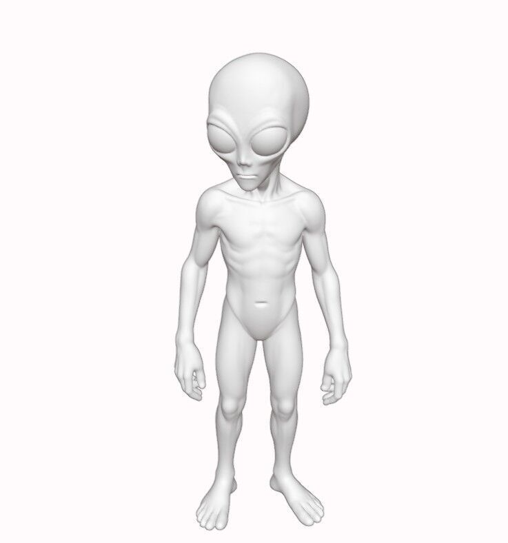 Gray Visitor from Zeta Reticuli 3D print model_2