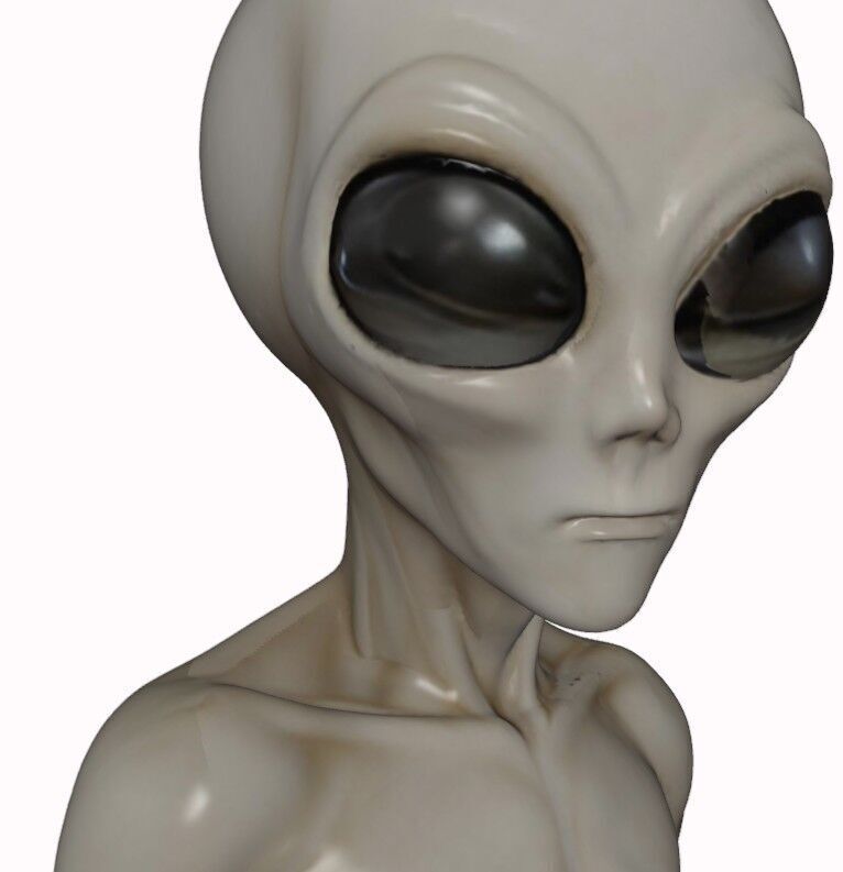Gray Visitor from Zeta Reticuli 3D print model_17