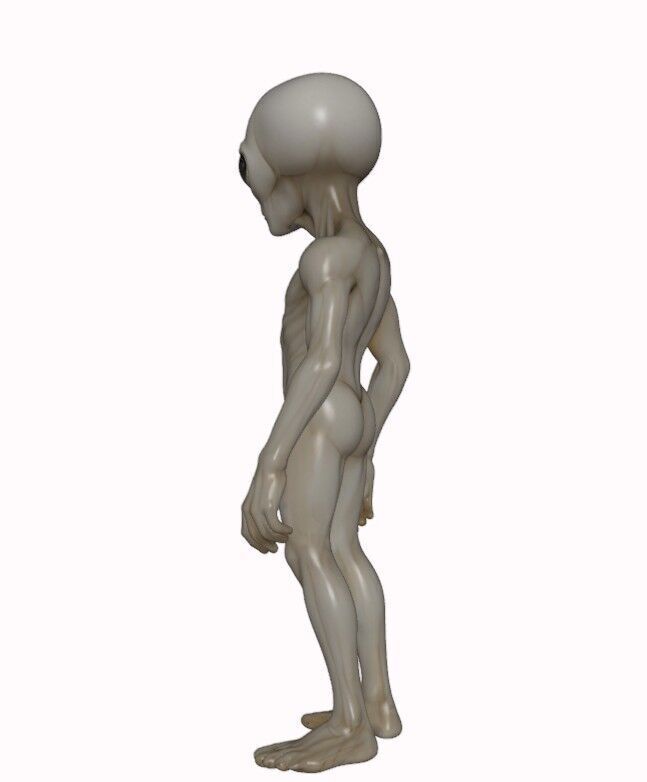 Gray Visitor from Zeta Reticuli 3D print model_9