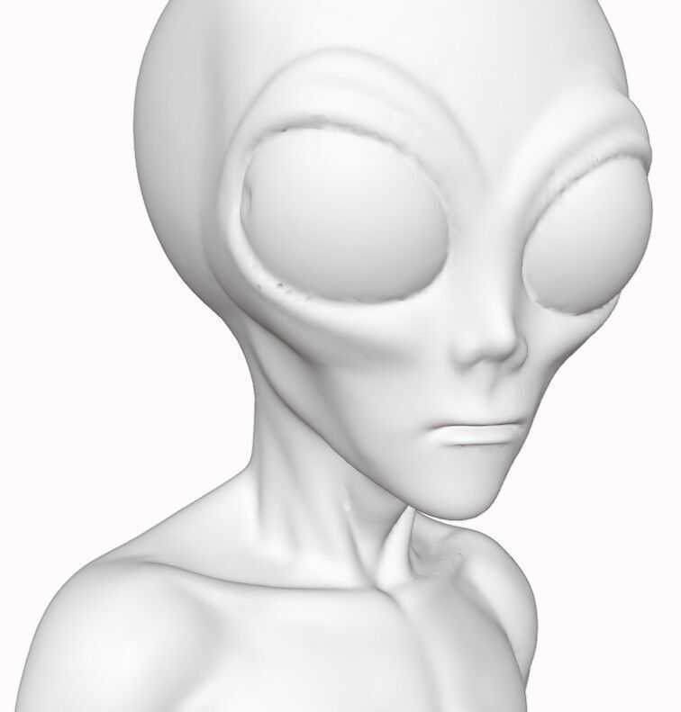 Gray Visitor from Zeta Reticuli 3D print model_18