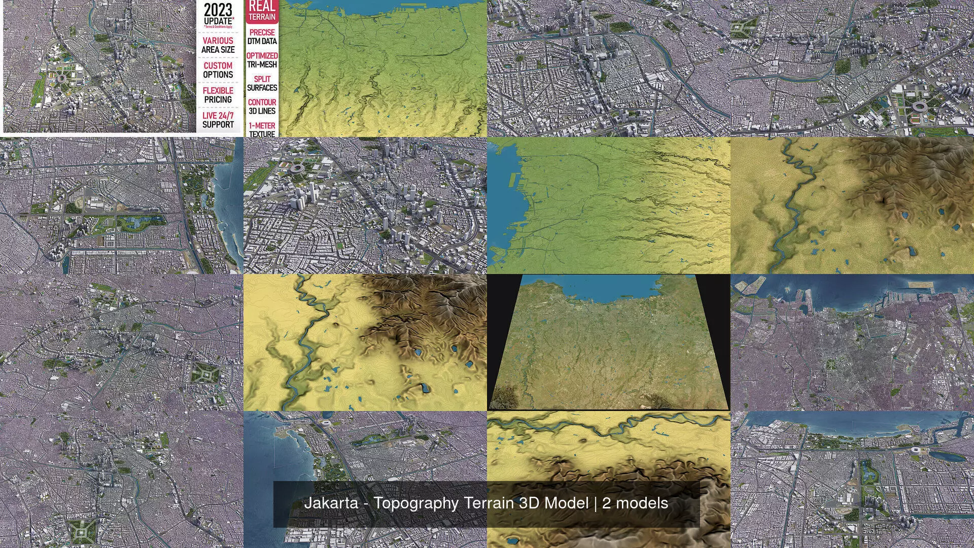 Jakarta - Topography Terrain 3D Model 3D Model Collection_1