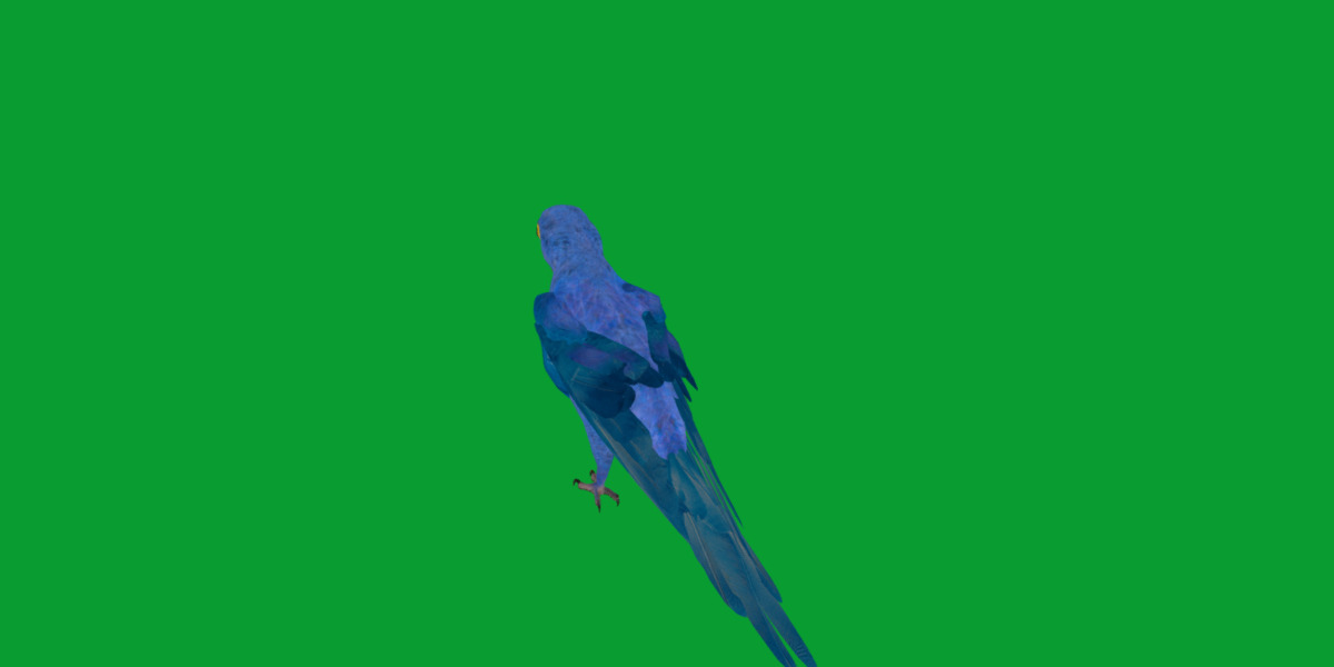 Hyacinth Macaw Parrot Low-poly 3D model_29