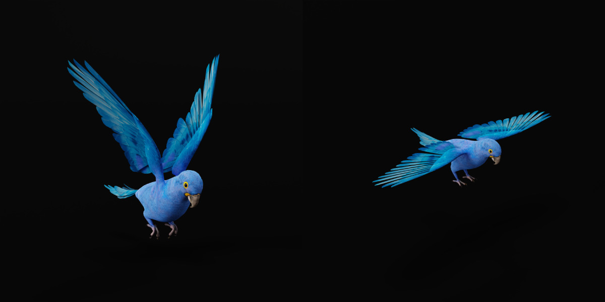 Hyacinth Macaw Parrot Low-poly 3D model_6